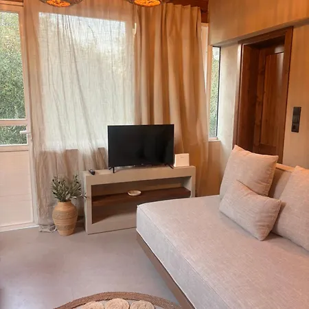 Olive Grove Retreat Paxos 別荘 *