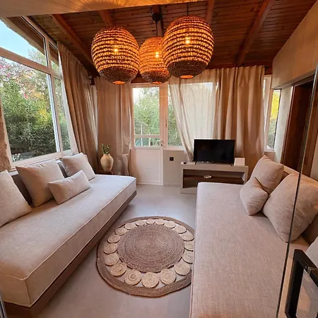 Olive Grove Retreat Paxos